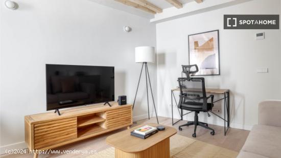 Apartamento de 1 dormitorio en alquiler en Malasaña+ - MADRID