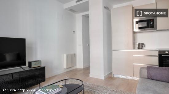 Apartamento de 1 dormitorio en alquiler en Malasaña+ - MADRID