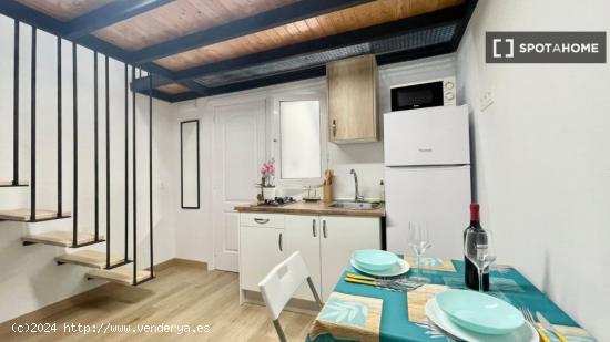 Apartamento tipo estudio en alquiler en Las Palmas De Gran Canaria - LAS PALMAS