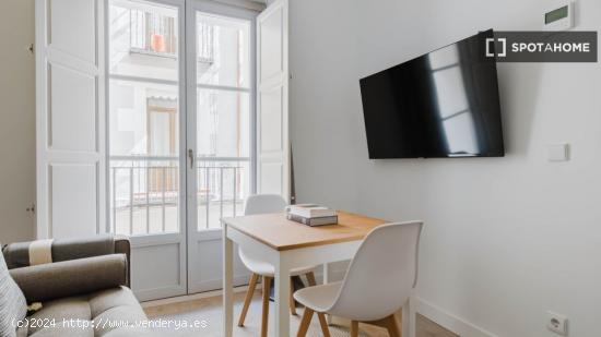 Apartamento de 1 dormitorio en alquiler en Madrid - MADRID