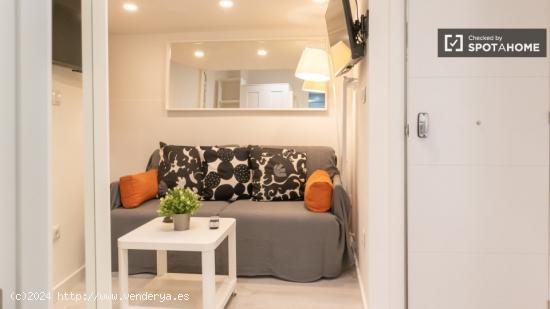 Apartamento de 1 dormitorio en alquiler en Lavapiés - MADRID