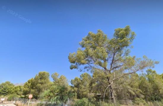  TERRENO URBANO EN LA NUCIA - ALICANTE 