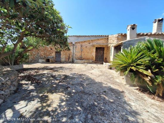  FINCA RUSTICA EN COSTITX - BALEARES 