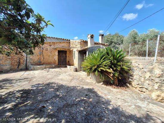 FINCA RUSTICA EN COSTITX - BALEARES