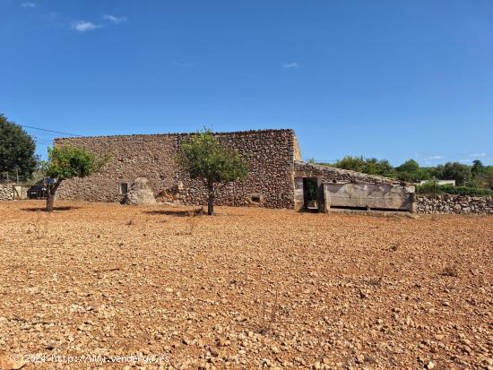 FINCA RUSTICA EN COSTITX - BALEARES