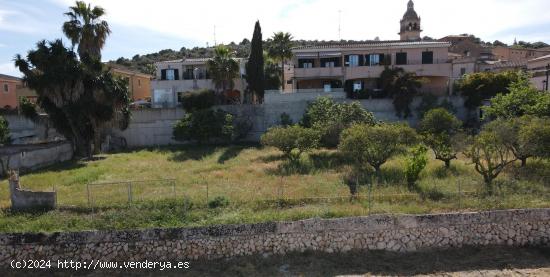  Solar en Santa Eugenia - BALEARES 