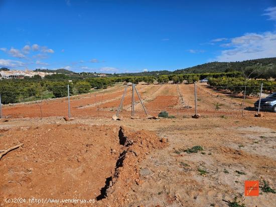 FINCA RUSTICA EN VENTA EN FREGINALS (TARRAGONA) - TARRAGONA