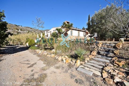 ENCANTADORA CASA DE CAMPO CON GRAN TERRENO EN EL CAÑAR - MURCIA