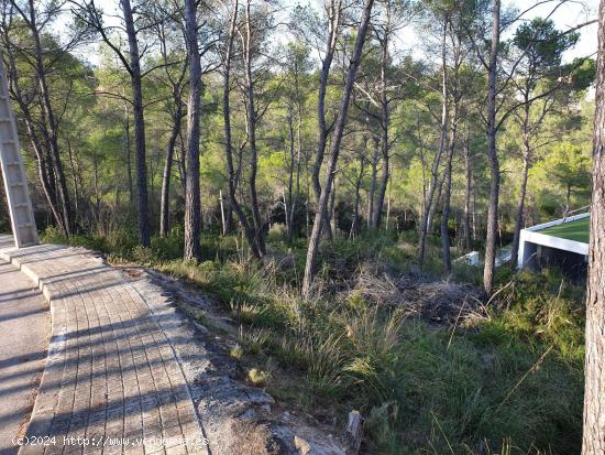 Terreno urbano situado en la Urbanización Las Colinas de Olivella. - BARCELONA