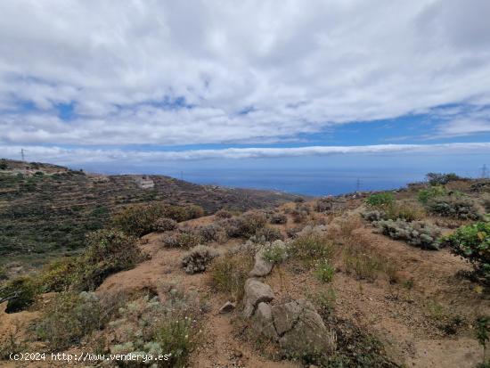 Terreno con cuevas y vistas al mar en Güimar - SANTA CRUZ DE TENERIFE