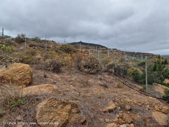 Terreno con cuevas y vistas al mar en Güimar - SANTA CRUZ DE TENERIFE