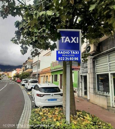 LICENCIA DE TAXI SIN COCHE: LOS REALEJOS - SANTA CRUZ DE TENERIFE