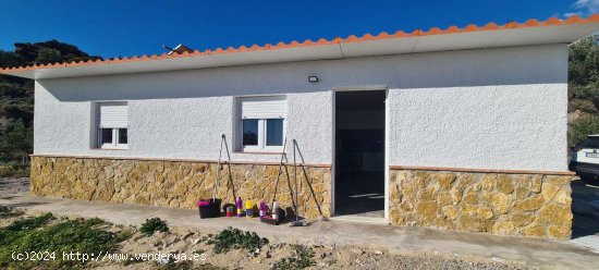  SE VENDE Terreno rÃºstico/agrÃ­cola en Venta en Felix - Felix 