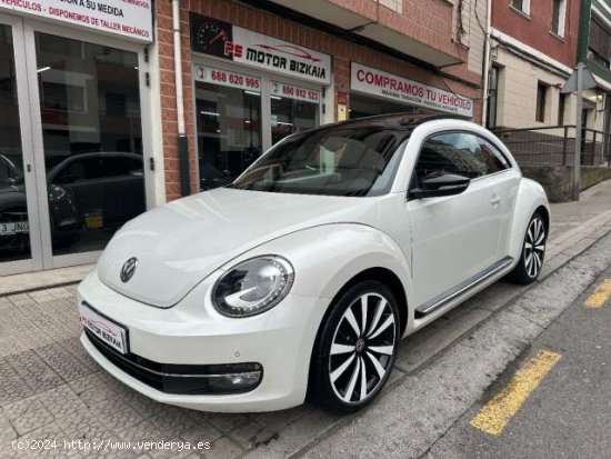 VOLKSWAGEN Beetle en venta en Santurtzi (Vizcaya) - Santurtzi