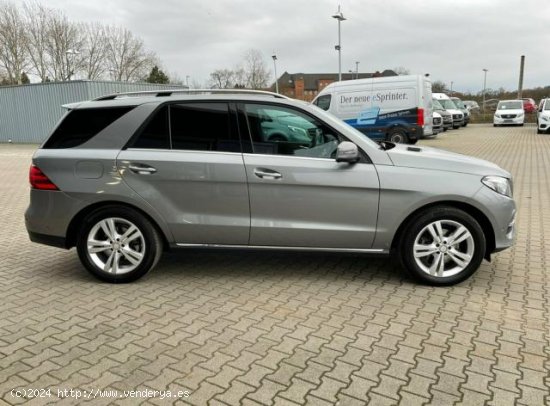 MERCEDES Clase GLE en venta en Marchena (Sevilla) - Marchena