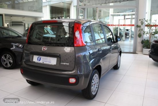 Fiat Panda PANDA 1.0 HYBRID FIRE FLY 5P de 2022 con 46.151 Km por 12.500 EUR. en Pontevedra