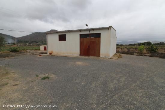 Terreno con albergue en Aspe - ALICANTE