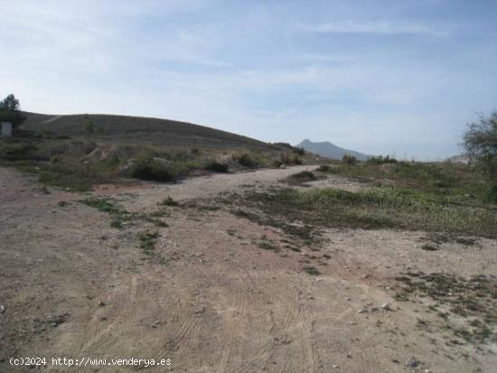 SE VENDE PARCELA  RUSTICA EN ASPE ZONA UCHEL - ALICANTE