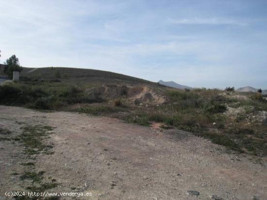 SE VENDE PARCELA  RUSTICA EN ASPE ZONA UCHEL - ALICANTE