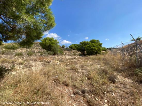 VENTA DE PARCELA EN EL TÉRMINO DE MONFORTE DEL CID Y NOVELDA DE 28.304 M2 - ALICANTE