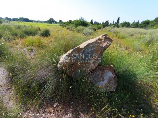 VENTA DE  PARCELA AGRARIO EL ALTET - ALICANTE