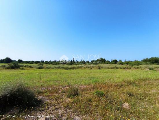 VENTA DE  PARCELA AGRARIO EL ALTET - ALICANTE