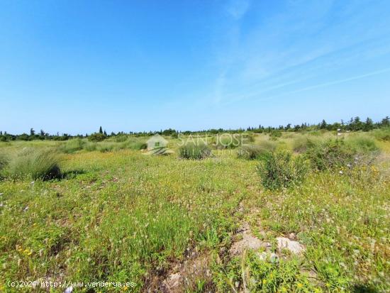 VENTA DE  PARCELA AGRARIO EL ALTET - ALICANTE