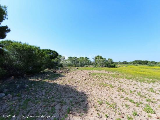 VENTA DE PARCELA RUSTICA EN EL ALTET - ALICANTE