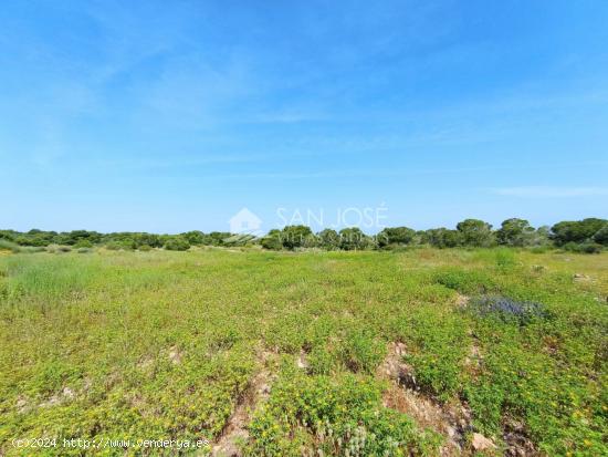 VENTA DE PARCELA RUSTICA EN EL ALTET - ALICANTE