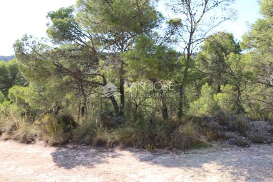 VENTA DE TERRENO A TRES KILOMETROS DE LA ROMANA - ALICANTE