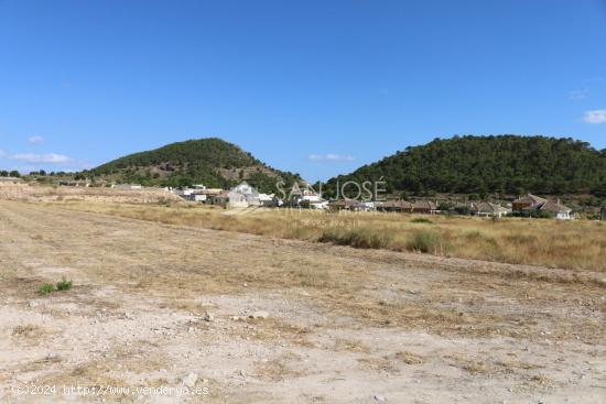 VENTA DE TERRENO EN LA ROMANA .MONOVAR - ALICANTE