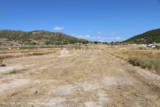 VENTA DE TERRENO EN LA ROMANA .MONOVAR - ALICANTE