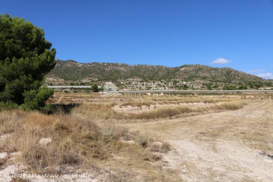 VENTA DE TERRENO EN LA ROMANA .MONOVAR - ALICANTE