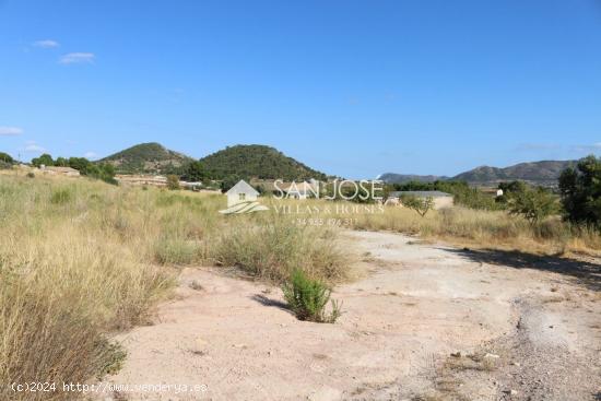  VENTA DE TERRENO EN LA ROMANA . MONOVAR . - ALICANTE 