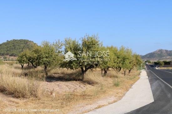 VENTA DE TERRENO EN LA ROMANA . MONOVAR . - ALICANTE