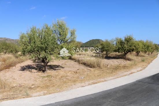 VENTA DE TERRENO EN LA ROMANA . MONOVAR . - ALICANTE