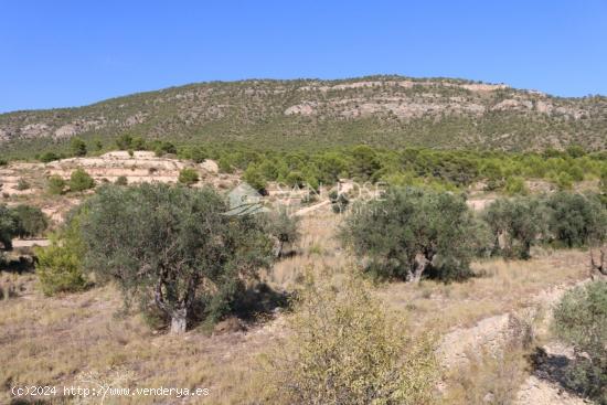 VENTA DE PARCELA EN LA ROMANA . MONOVAR - ALICANTE