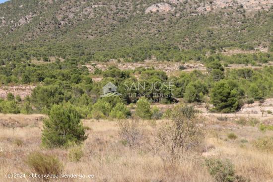 VENTA DE PARCELA EN LA ROMANA . MONOVAR - ALICANTE