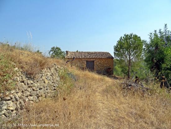 Casa de campo con proyecto para la construcción de una vivienda de más de 200 m² - ALICANTE