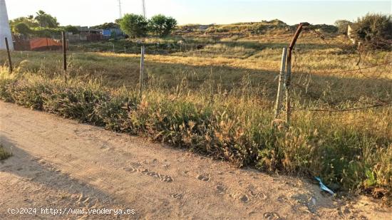 Terreno en el pueblo de Gerena - Sevilla con 2.515 m2 - SEVILLA