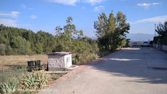  VENTA FINCA URBANA EN CAMPELO - LEON 