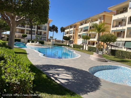  ALQUILER-APARTAMENTOS-LA MATA-PARQUEMAR_1B-1D-PISCINA COMUNITARIA - ALICANTE 