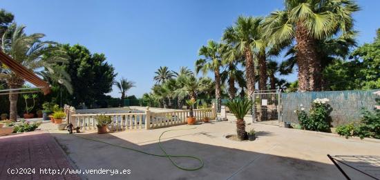 Bonito Chalet en venta  en La Algoda - Matola - ALICANTE