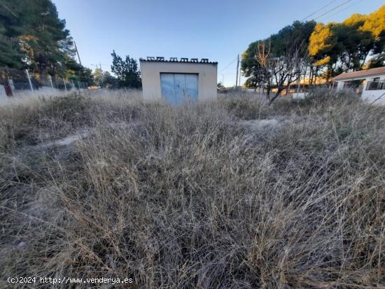  Parcela de 600 metros - ALICANTE 