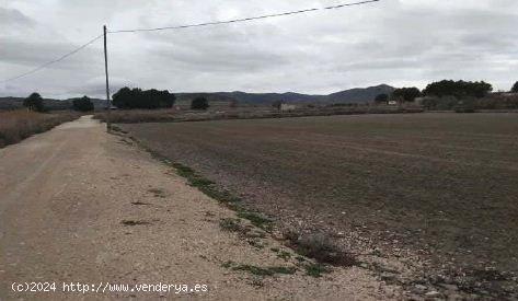  Terreno no urbanizable de 15178 metros - ALICANTE 