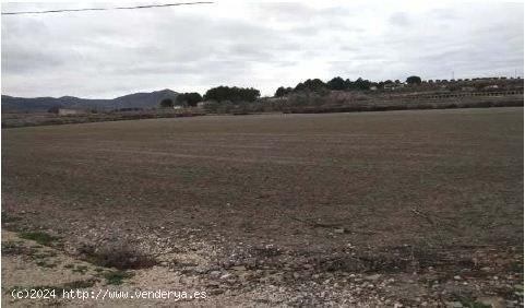 Terreno no urbanizable de 15178 metros - ALICANTE