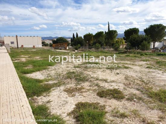 SOLAR A LA VENTA EN AYELO DE MALFERIT - VALENCIA