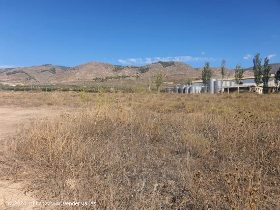 FINCA RUSTICA CARRETERA DEL LLANO EN LAUJAR DE ANDARAX - ALMERIA