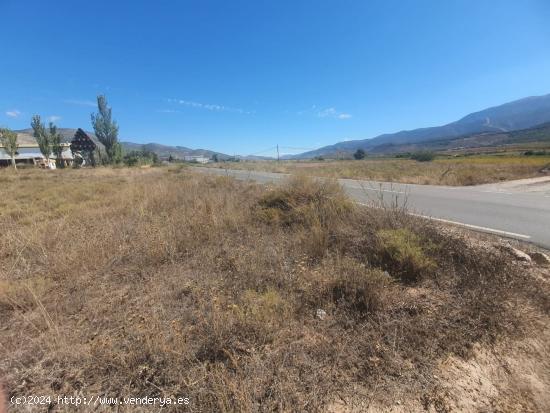 FINCA RUSTICA CARRETERA DEL LLANO EN LAUJAR DE ANDARAX - ALMERIA