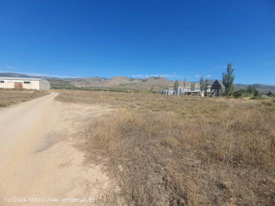 FINCA RUSTICA CARRETERA DEL LLANO EN LAUJAR DE ANDARAX - ALMERIA